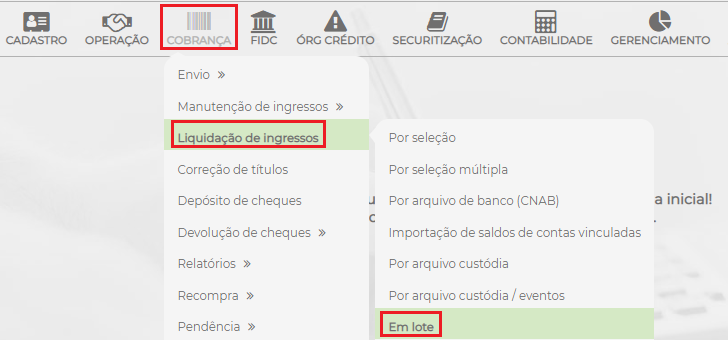 Figura 10 – Liquidação em lote.